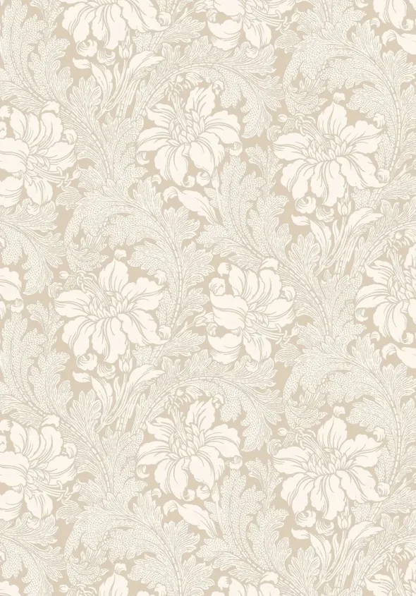 Acanthus 2011