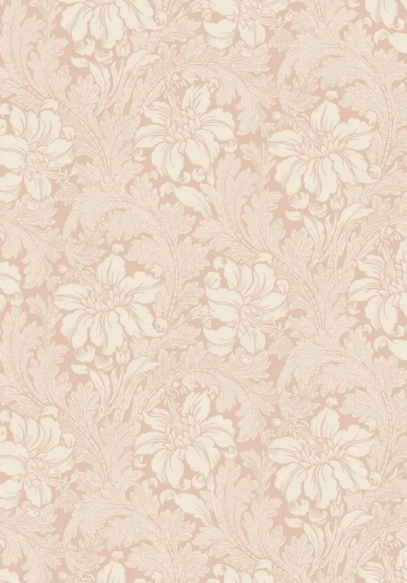 Acanthus 2009