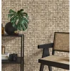 Arber DL 26757