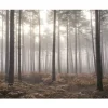 Atmosphere G78426
