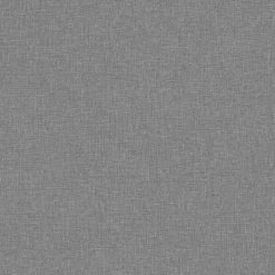 Canvas Graphite 6119