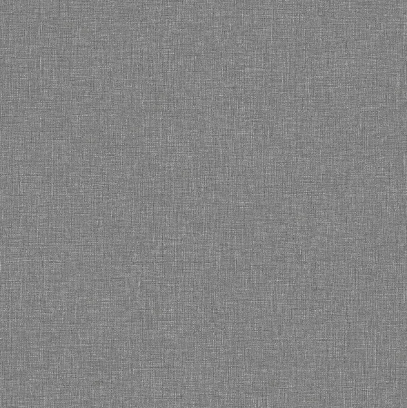 Canvas Graphite 6119