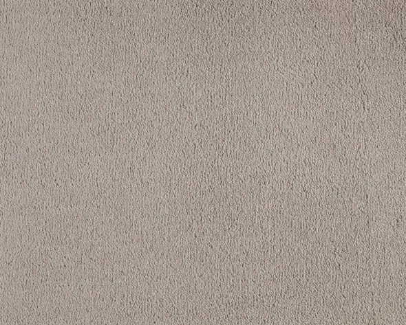 Celeste 430 Vegg-til-vegg Teppe 4 m