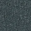 Desso Fields Teppeflis B751 B8 8822