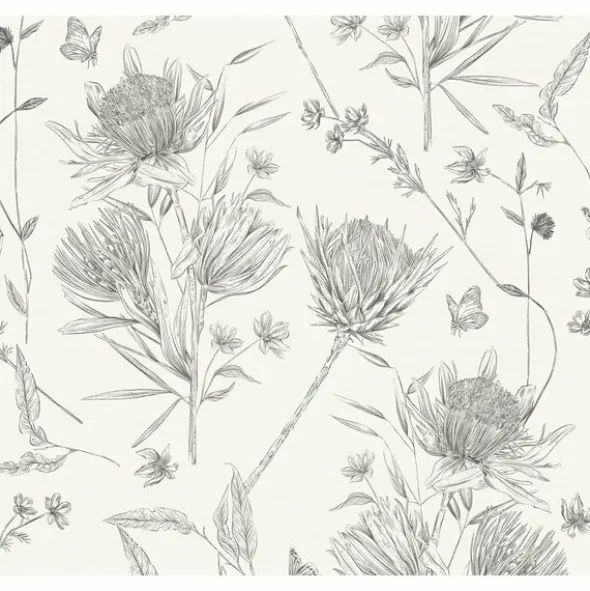 Drawn Into Nature 394272