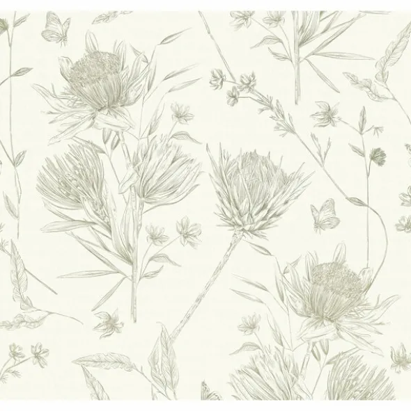 Drawn Into Nature 394273