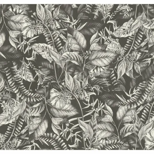 Drawn Into Nature 394252