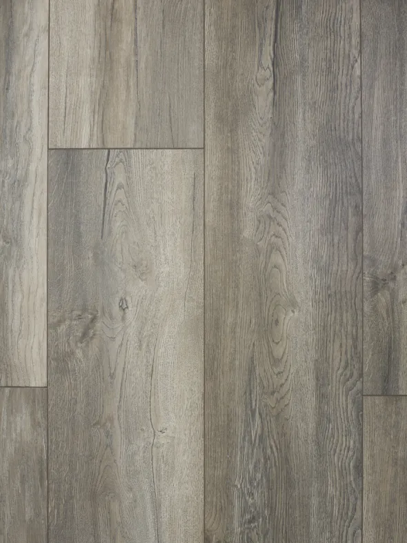 Exquisit Plus 3572 Harbour Oak Grey Laminatgulv