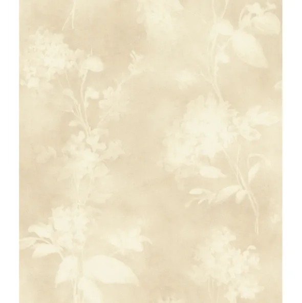 Florentine IV 481419