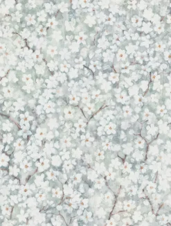 Hanami 9184