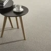 InCasa Vegg-til-vegg Teppe Nr. 260 - 4 m
