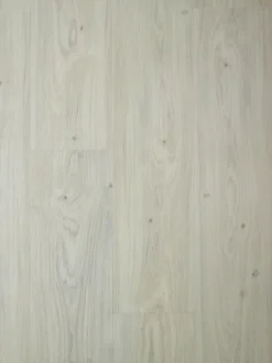 Isocore Promo Elegant Klikkvinyl