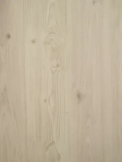 Isocore Promo Elegant Klikkvinyl