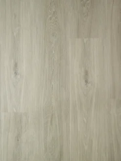 Isocore Promo Mushroom Klikkvinyl