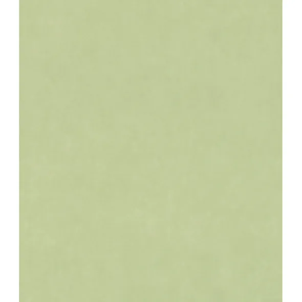 JARDIN 330052