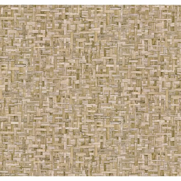 Jungle Chic 377062