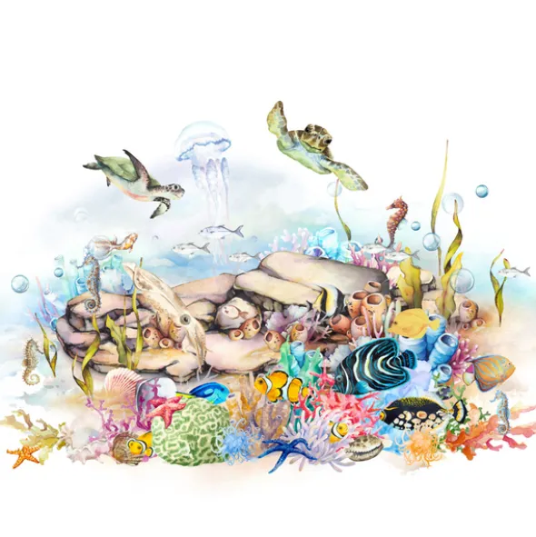 Kids World 365030