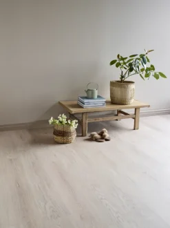 Kork Natural Argent Oak Korkgulv