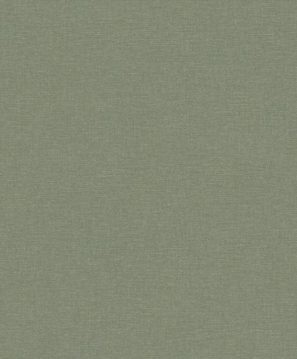 LINUM 2 LT10008
