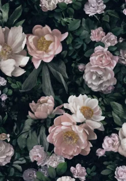 New Dawn Rose 7234