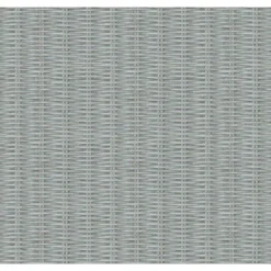 New Walls 373933