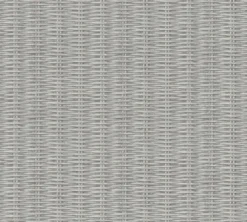 New Walls 373932