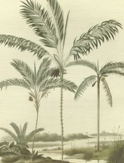 Oasis 317406