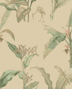 Oasis 317344