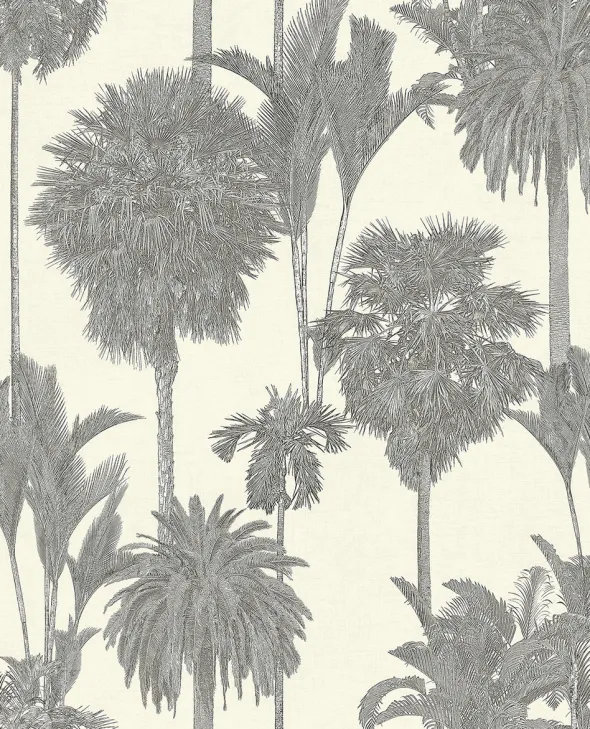 Oasis 317326