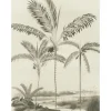 Oasis 317407