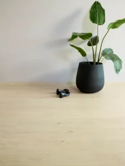 Rigid Essential Elegant Oak Klikkvinyl