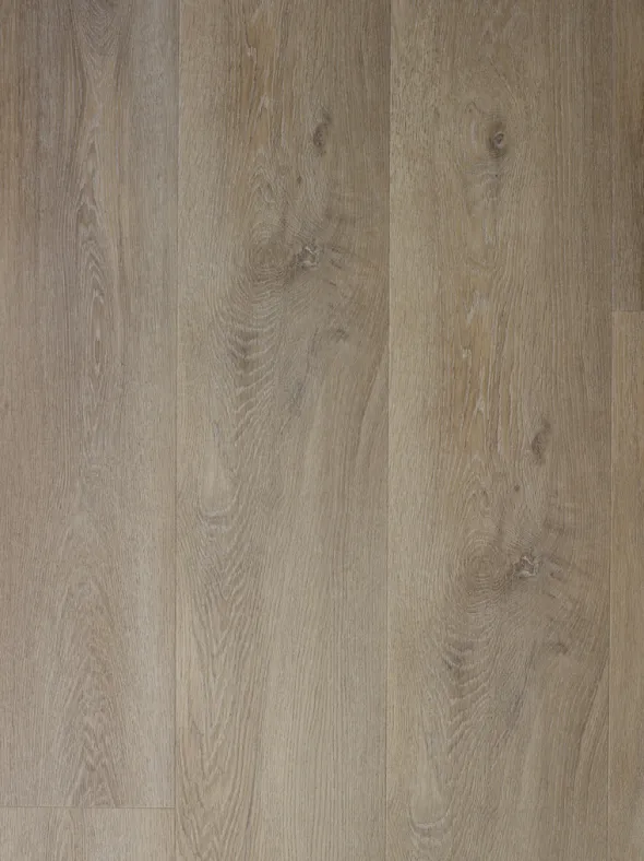Rigid XXL Oak Geneva Klikkvinyl