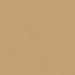 Sans ST1935