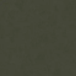 Sans ST1926 Organic Green