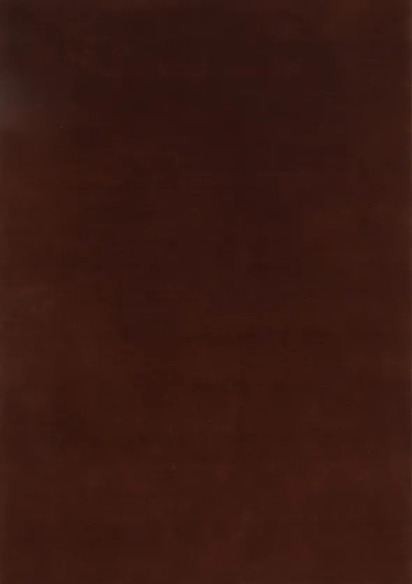 Savoy Rav Gulvteppe 160 x 230