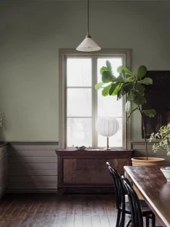 Shades Phonolite 6105