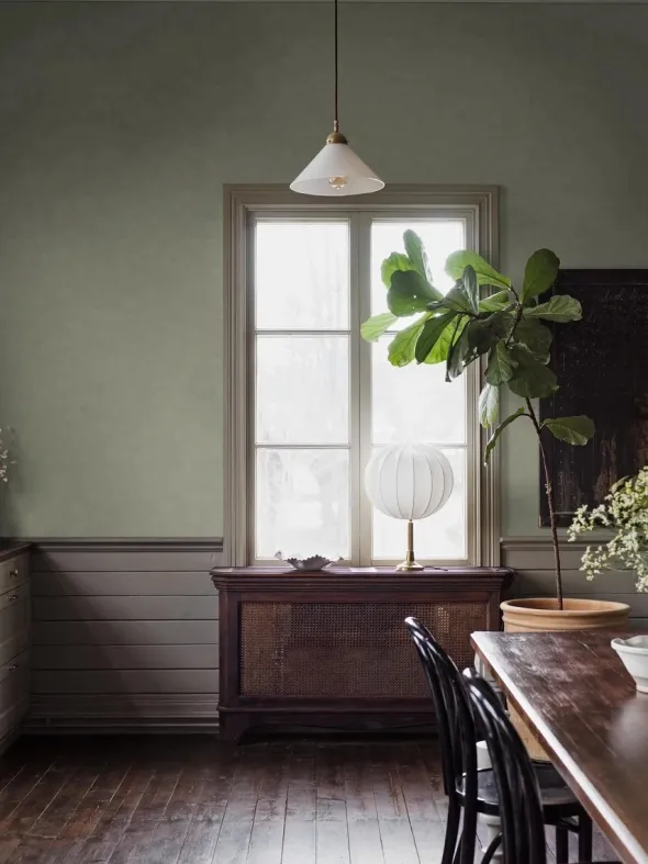 Shades Phonolite 6105