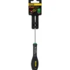 Stanley Skrutrekker TT20 x 100 mm