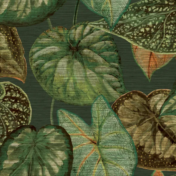 Tahiti TA25054