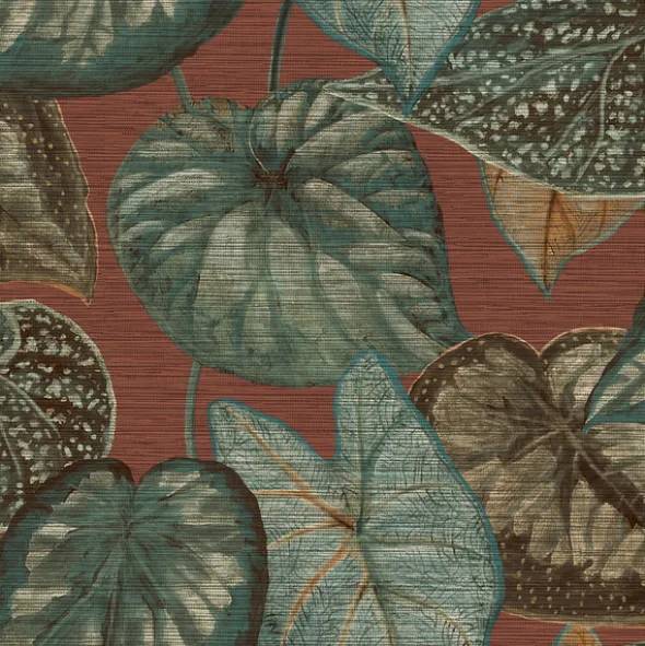 Tahiti TA25053