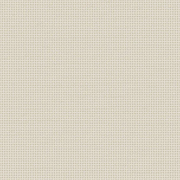 TAPESTRY TP422602