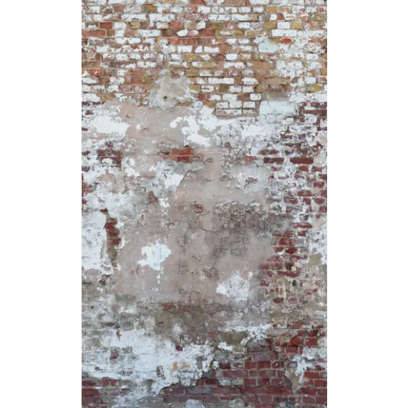 The Wall 39250-1