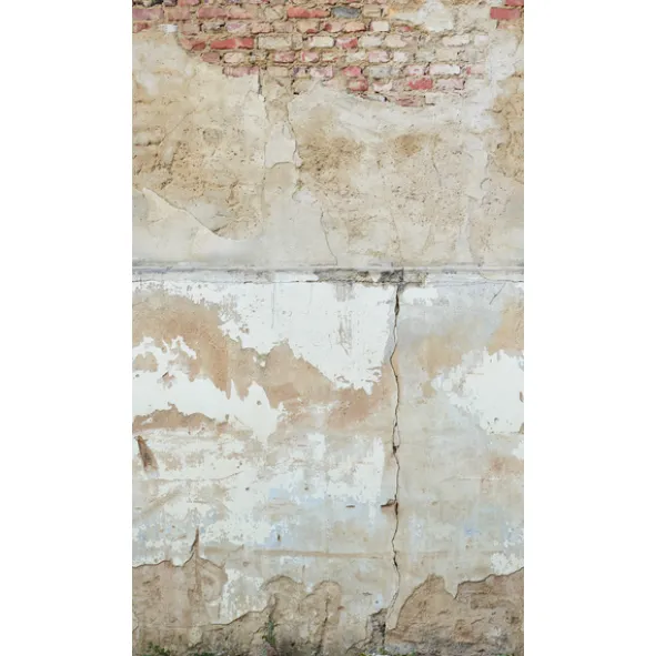 The Wall 39249-1