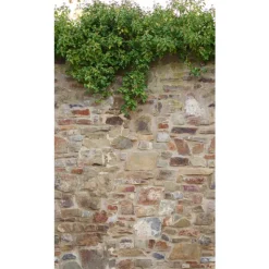 The Wall 39247-1