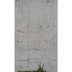 The Wall 39254-1