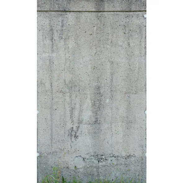 The Wall 39255-1